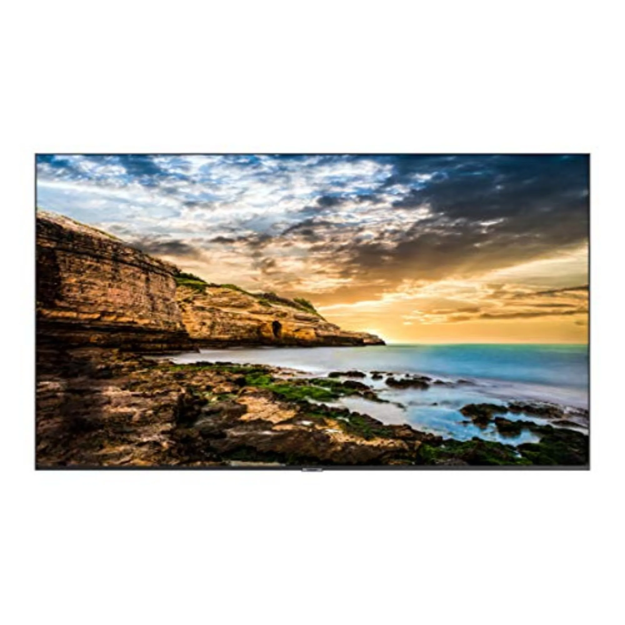 How to Choose the Right Computer Monitor for Your Needs