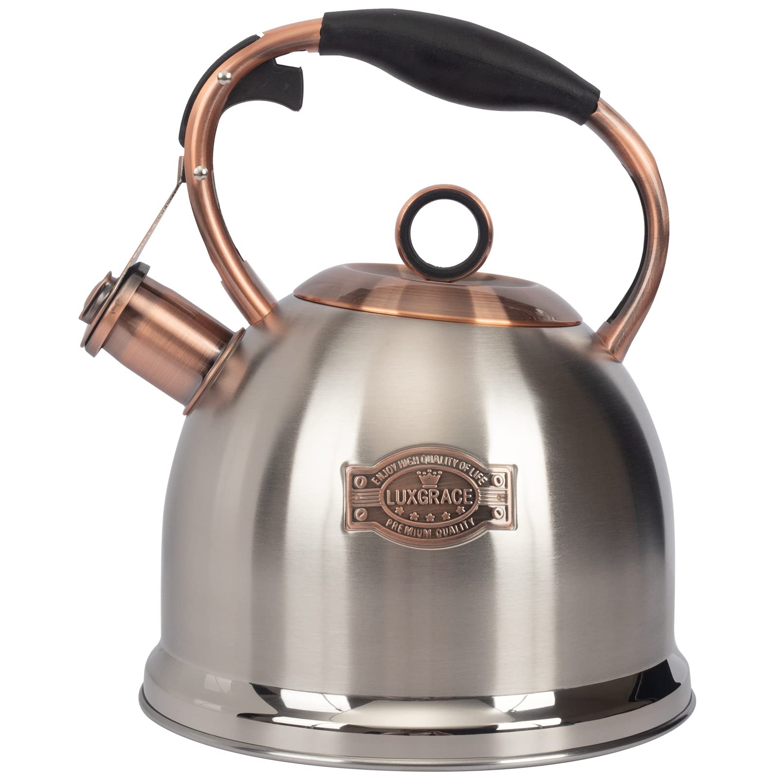 How to Choose the Right Type of Kettle in 2024
