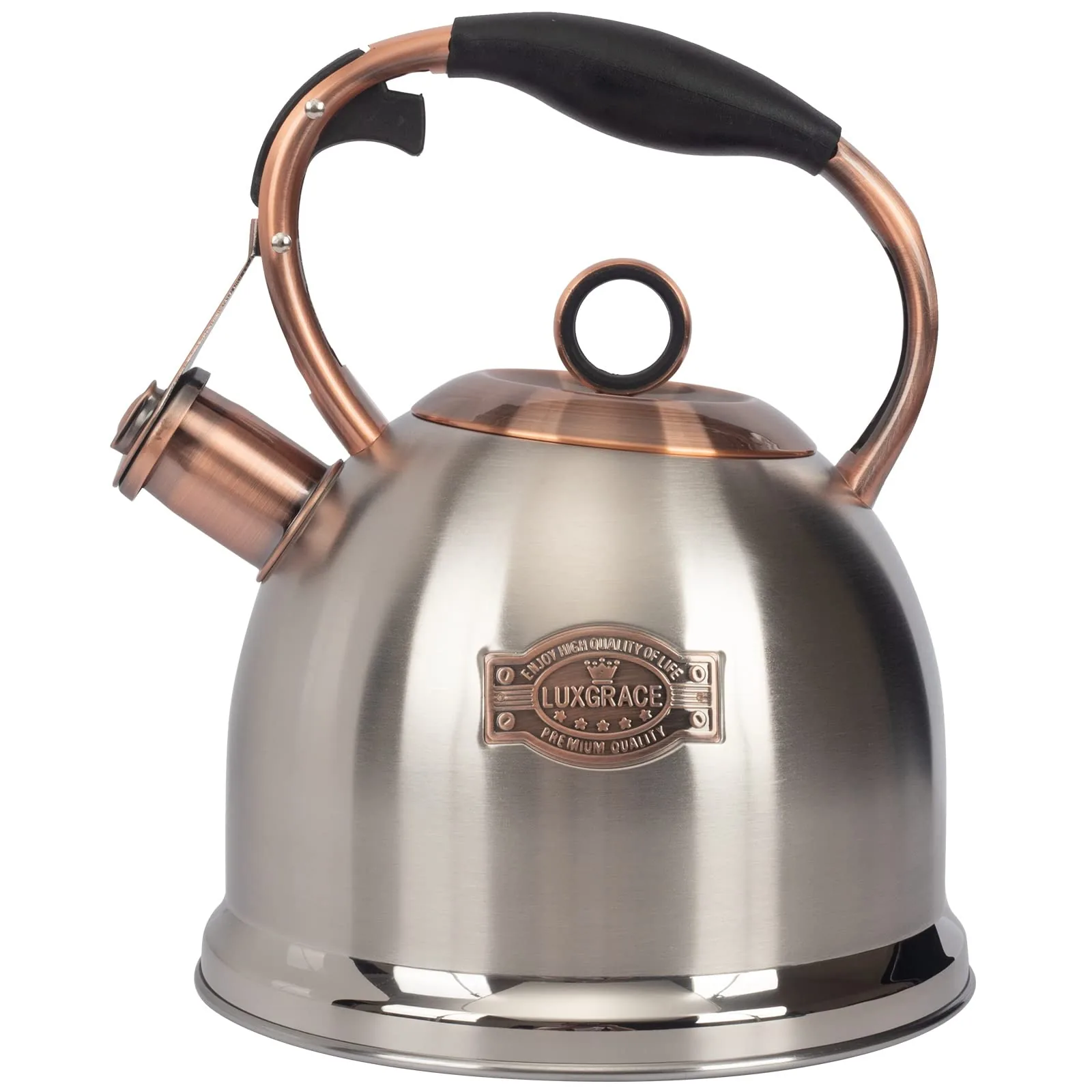 How to Choose the Right Type of Kettle in 2024