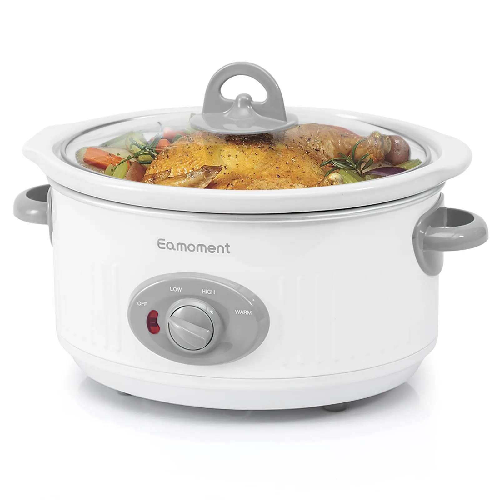 How to Choose the Right Type of Slow Cooker for Your Needs